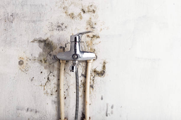 Crawl Space Mold Removal in Lowell, OR
