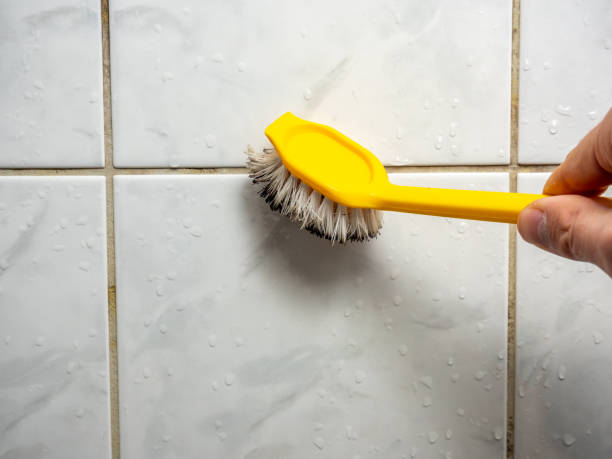 Best Affordable Mold Removal  in Lowell, OR