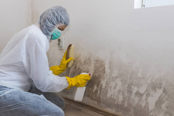 Best Crawl Space Mold Removal  in Lowell, OR