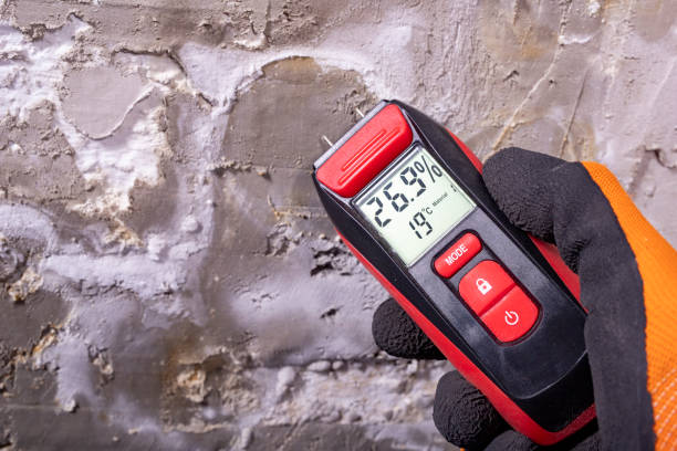 Best Emergency Mold Removal  in Lowell, OR