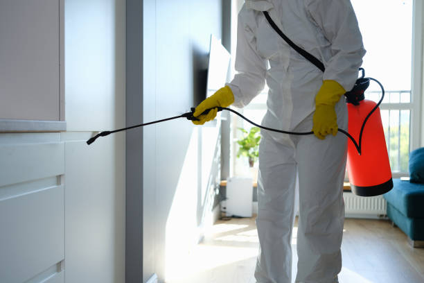 Best Local Mold Removal Service  in Lowell, OR