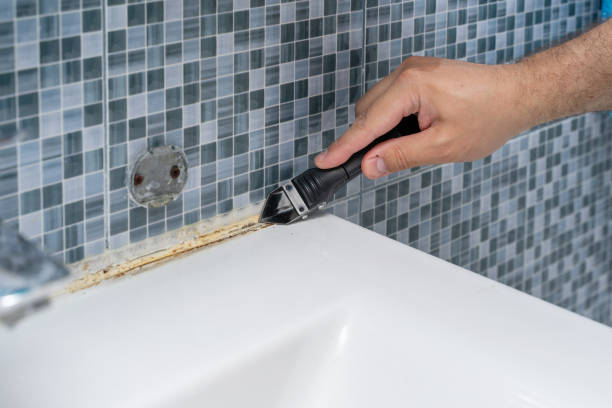 Best Mold Remediation Experts  in Lowell, OR
