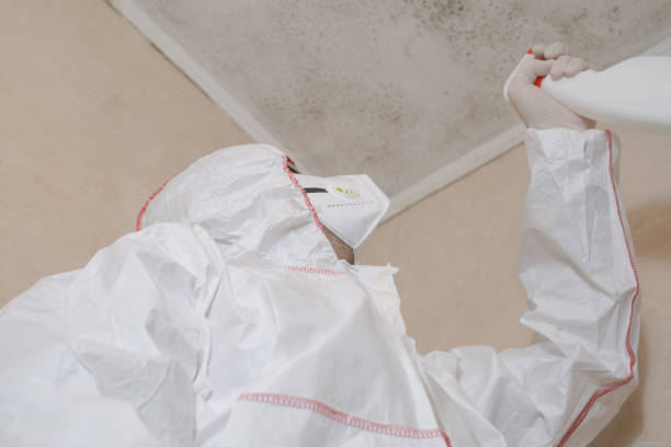 Best Mold Testing  in Lowell, OR