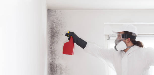 Best Mold Inspection  in Lowell, OR