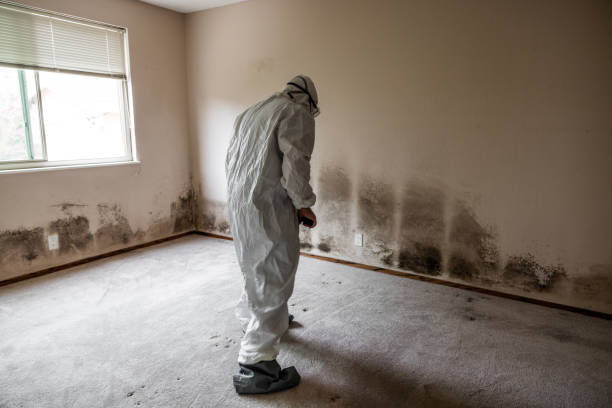Best Office Mold Removal Services  in Lowell, OR