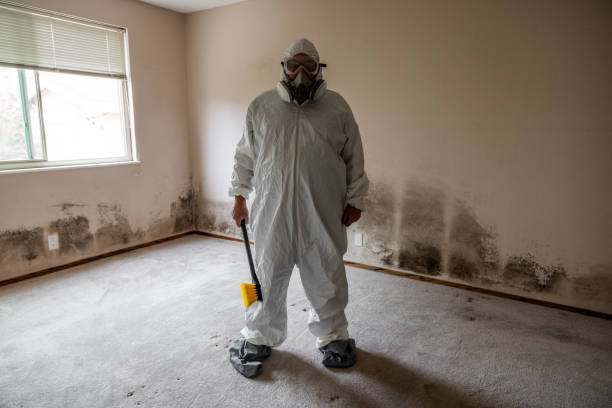 Lowell, OR Mold Removal Company